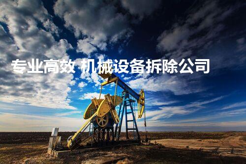 专业高效 机械设备拆除公司 拆解无忧